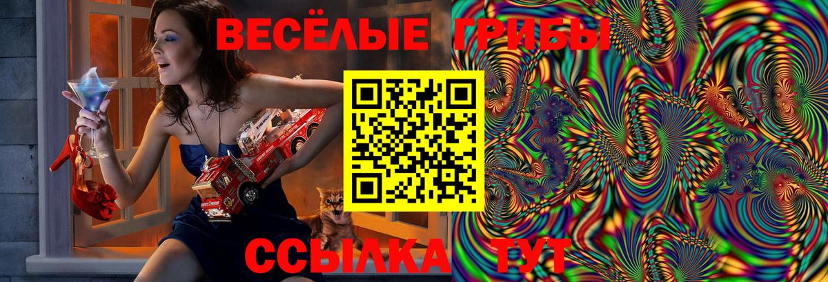 Нижнеудинск  Галлюциногенные грибы MAGIC MUSHROOMS  Вход с VPN 